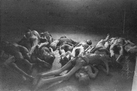 An old prisoner kept in the same cell as the protagonist. The emaciated bodies of concentration camp prisoners lie ...