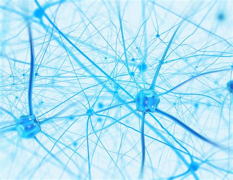 Download Myo-inositol soft gel capsules may prevent the risk of ...