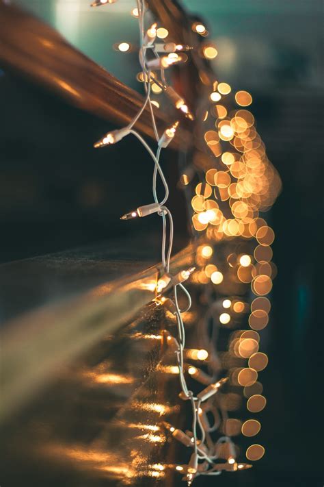 20 Best Free Fairy Lights Pictures On Unsplash