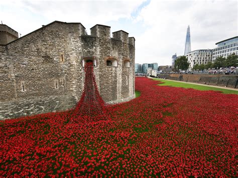 The Tower Of London Poppies Are An Extraordinary Memorial Which Some