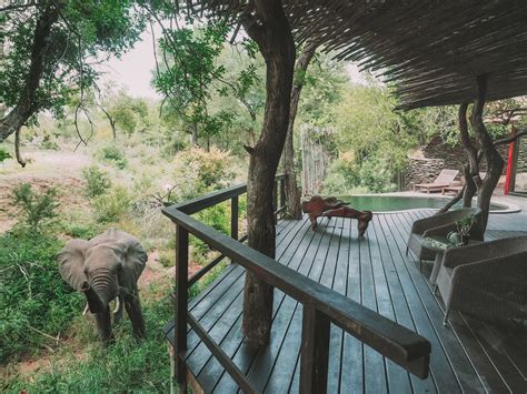 The 20 Best Safari Lodges In Africa World Of Wanderlust