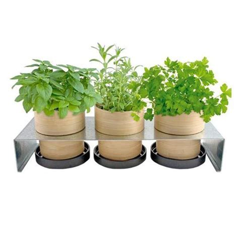 Kitchen Indoor Herb Planters — Eatwell101