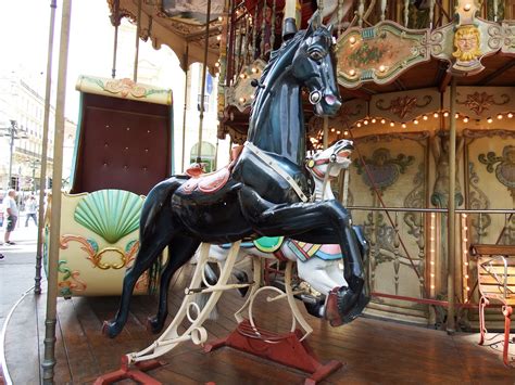 Beautiful Black Horse Black Horse Carousel Horses Horses