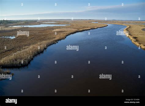 Usa Maryland Cambridge Blackwater National Wildlife Refuge