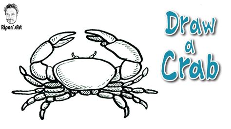 Draw another leg directly below the first one. How to Draw a Crab easy and Step By Step. - YouTube