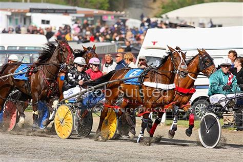 Horse harness racing at the Kaikoura Trotting club on Anniversary Day