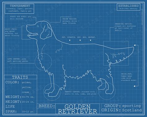 Golden Retriever Dog Breed Blueprint