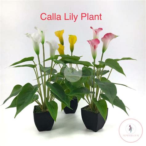 Artificial Real Touch Latex Calla Lily Plant Artificial Real Touch