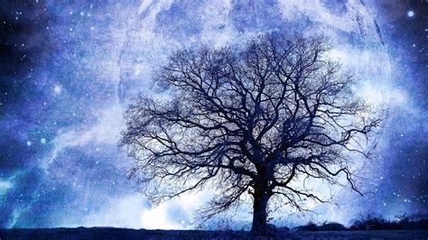 Tree On Blue Moon Night Hd Wallpaper Background Image 1920x1080