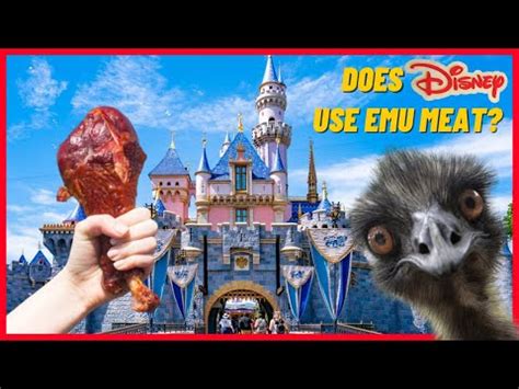 Are Disneyland S Turkey Legs Actually Emu Meat Shorts YouTube