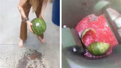 Rotten Watermelon Explodes Everywhere Youtube