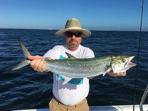 6 Hour Tampa Florida Inshore Light Tackle 23 Sea Fox Outguided