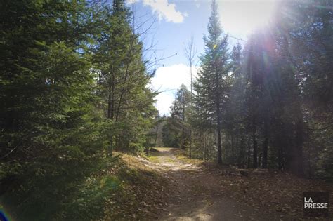 Whether you're searching for a cozy cabin getaway or seasonal ski lease, we proudly offer an array of wonderful north lake tahoe vacation rentals. En passant par Sainte-Agathe | LaPresse.ca