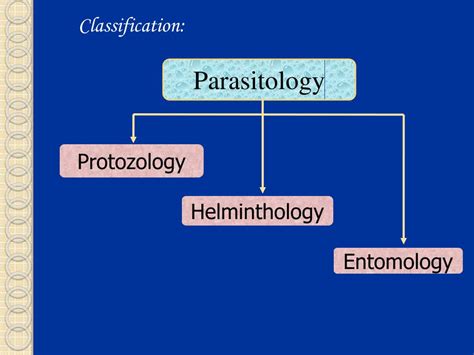Ppt Parasitology Powerpoint Presentation Free Download Id 3126051