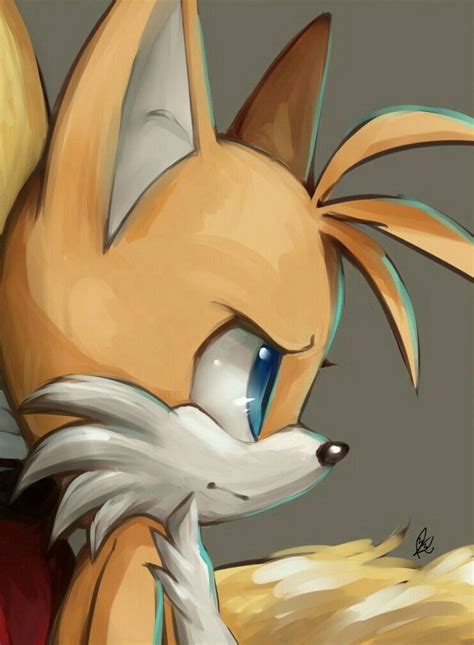 Pin By Jacky Sm On Miles Tails Prower Hedgehog Art Sonic And Shadow