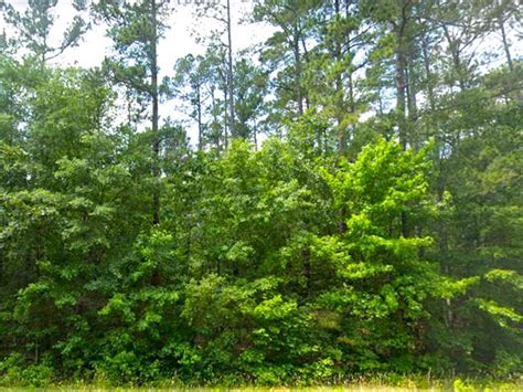 Secluded Wooded Lot Fsbo Land For Sale By Owner In