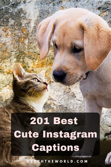 Life is better when you're smiling. 217 Best Cute Instagram Captions (With images) | Cute ...