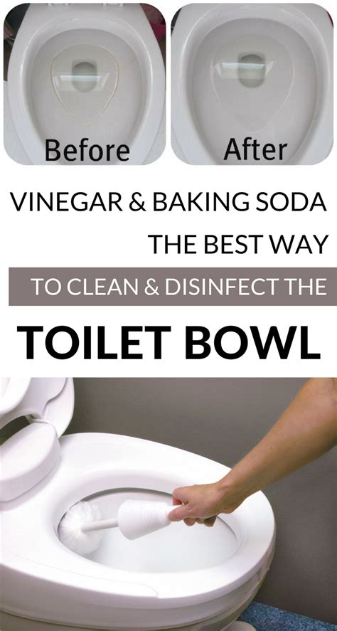 Vinegar And Baking Soda The Best Way To Clean And Disinfect The Toilet Bowl CleaningTips Net