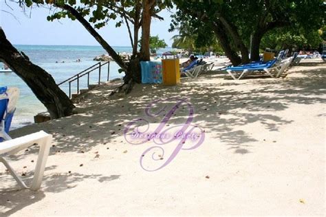 Wild On Hedonism Ii Negril Photo 119 Of 223