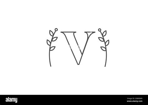 Diseño De Línea Del Icono Del Logotipo De La Letra V Del Alfabeto