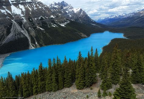 Tlcharger Fond Decran Lac Peyto Parc National Banff Alberta Canada
