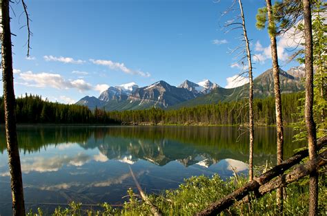 Herbert Lake Lake In Banff National Park Thousand Wonders