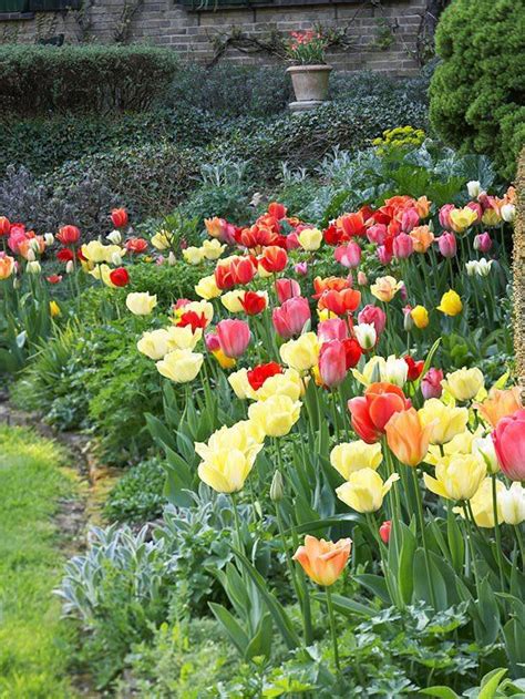 11 Gorgeous Ways To Design With Spring Bulbs In Your Garden Planting