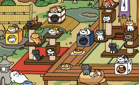 Reductress How Neko Atsume Made Me Realize My Actual Cats Need Food Too