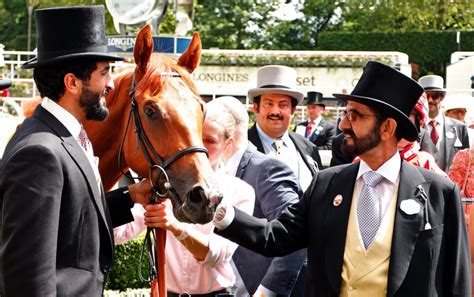 Our racehorses are carefully chosen with the assistance of bloodstock agent john foote, making us brisbane's premium racehorse syndication business. About Oliver - OSL Bloodstock - Bloodstock Agent in ...