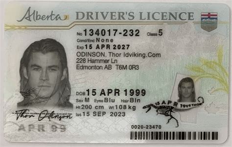 Ab New Alberta Drivers Licence Scannable Fake Id Idviking Best