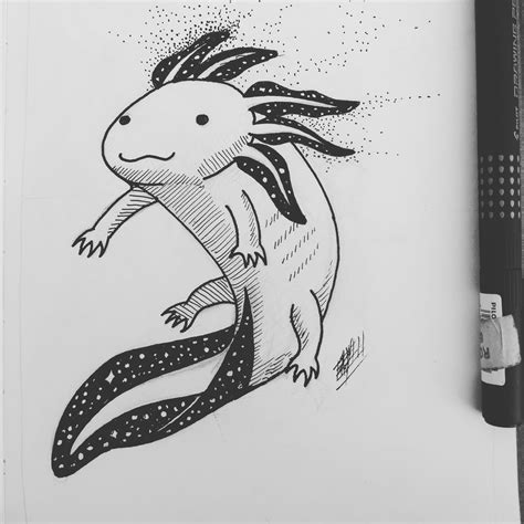 How to draw a axolotl step by step, learn drawing by this tutorial for kids and adults. A little space axolotl : drawing