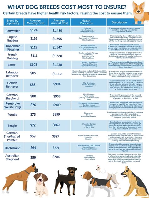 Infographic What Dog Breeds Cost Most To Insure Shortlister