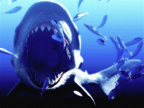 Майкл мэдсен, доминик паке, caroline harris и др. Megalodon Prehistoric Shark Photograph by Christian Darkin