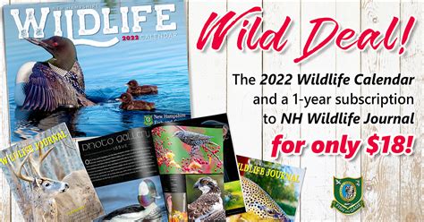 Get A Wild Deal From Nh Fish And Game Nh Fish And Game Department