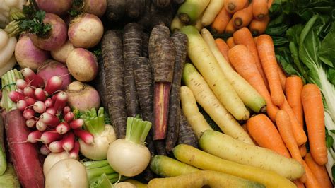 23 Popular Root Veggies Explained