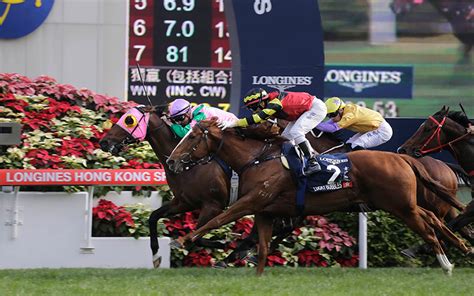 The hong kong international races, at sha tin racecourse, make up the last major international thoroughbred horse racing festival on the calendar each year and are collectively worth 93 million hong kong dollars ($11.86 million). Hong Kong Horse Racing News: Sha Tin - Live Trading News