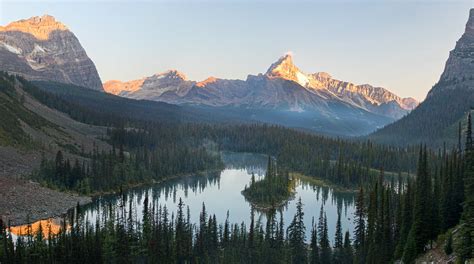 Mary Lake Mary Lake From The Opabin Plateau Yoho National Flickr