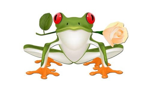 48 Animated Frog Wallpaper
