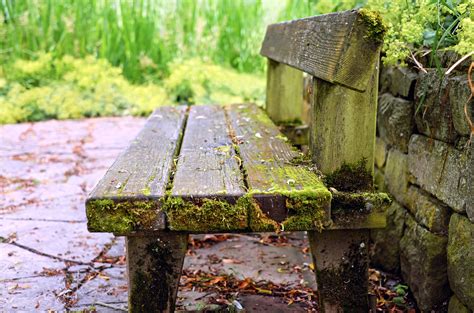 Old Garden Benches Set In The Fall