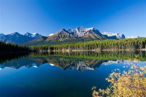 Heart Of The Canadian Rockies Holidays Discount Cosmos Tours