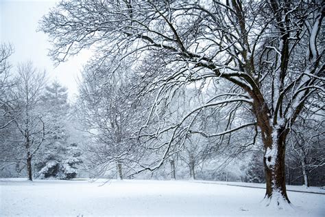 Winter Seasons Free Stock Photo Public Domain Pictures