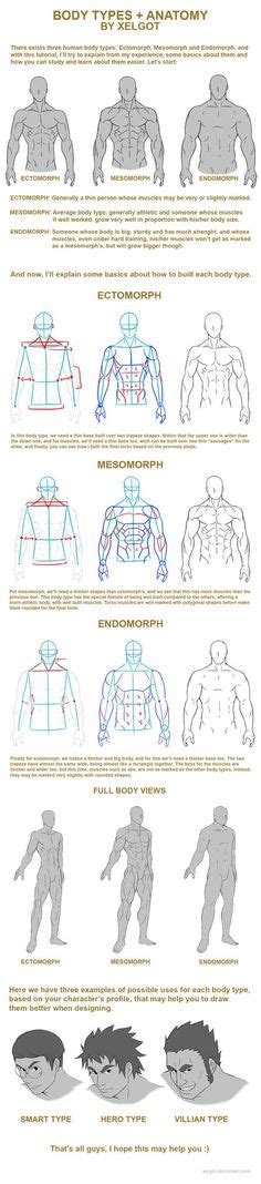 Male Anatomy Template Front By Shintenzu Male Figure Drawing Male