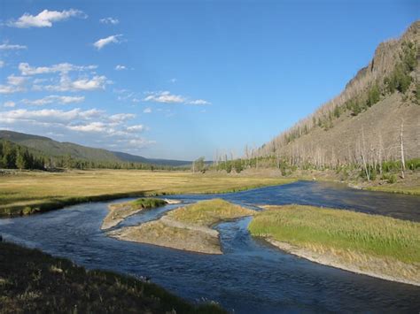 Madison River In Yellowstone National Park Photo 1