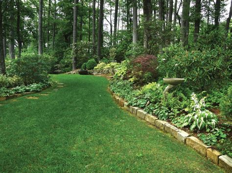 Long Grassy Path In A Wooded Landscape Garden In The Woods Backyard