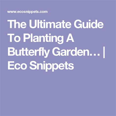 The Ultimate Guide To Planting A Butterfly Garden New Zealand