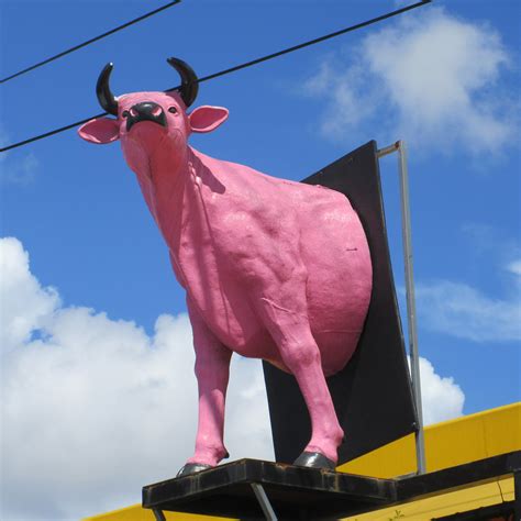 Pink Cow Pink Cow Arts District Wynwood