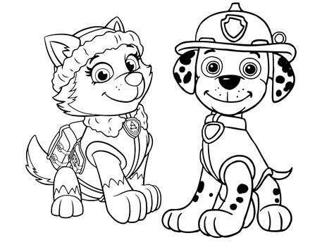 Everest Paw Patrol Coloring Lesson Kids Coloring Page Coloring