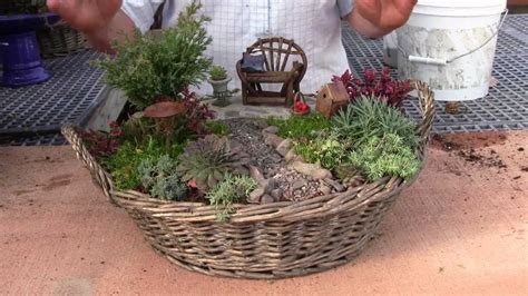 Planting A Miniature Garden Container Youtube