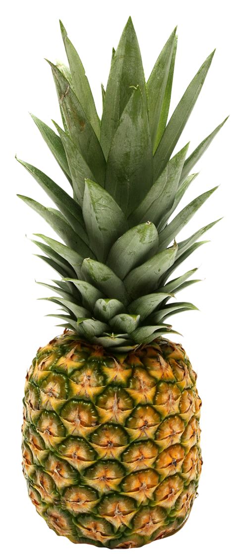 It totally messes up my webpage's background. Two Pineapple PNG Image - PurePNG | Free transparent CC0 ...