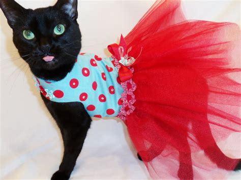 Cat Clothes Retro Red And Turquoise Polkadot Tutu Cat Dress With